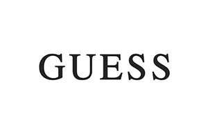 logo guess